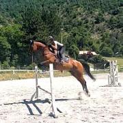 Vallo